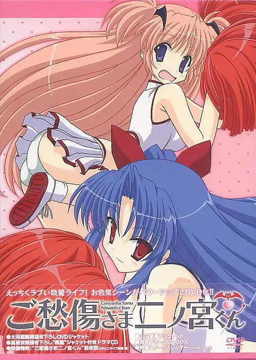 请别忧伤了二之宫君 海报