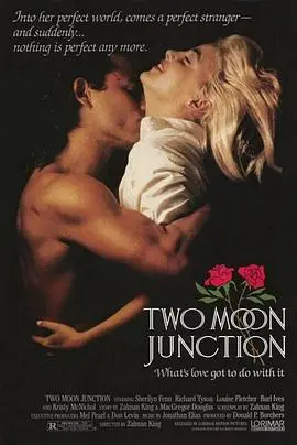 《偷月情Two Moon Junction》：欲望与禁忌的边缘试探，一场南方小镇的炽热恋曲